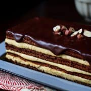 Chocolate-Pumpkin-Torte-1424-11