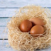 Nest | Kitchen Confidante