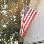 Scenes from Americana | Kitchen Confidante | Flag