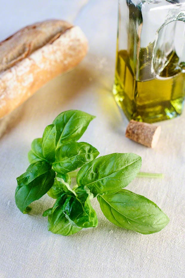 A sprig of fresh basil on a towel.