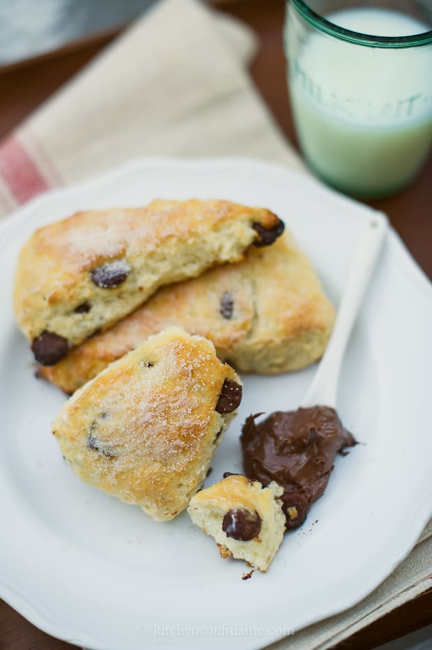 Chocolate Chip Scones on a white plate with a cup of milk.