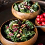 Cranberry Kale Salad | Kitchen Confidante