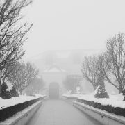 Altitude Summit Preview | Kitchen Confidante