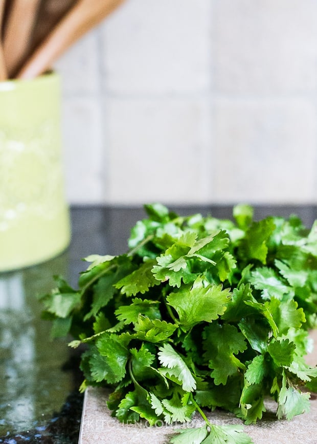 Fresh cilantro on a countertop.