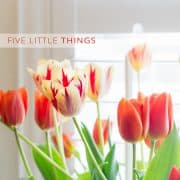 Five Little Things | Kitchen Confidante | Tulips