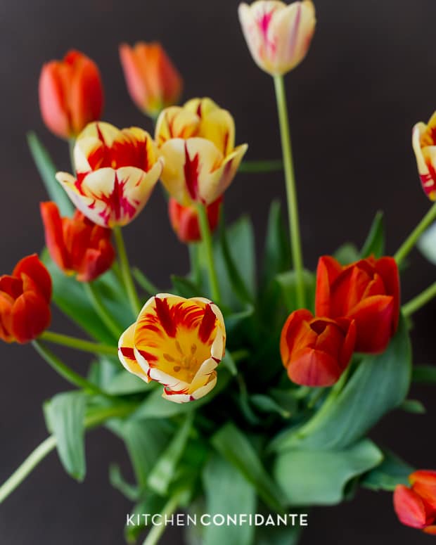 Five Little Things | Kitchen Confidante | Tulips