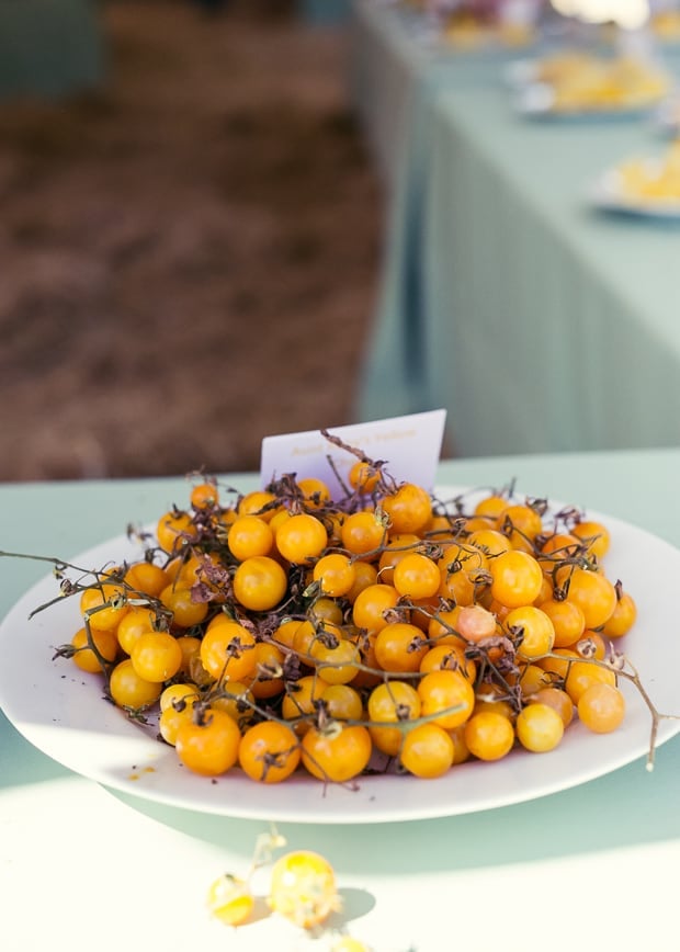 A white plate of yellow tomatoes still on their stems.