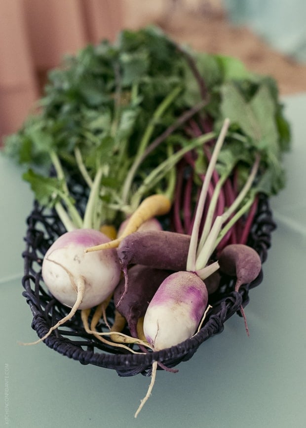 A basket of fresh Radishes.