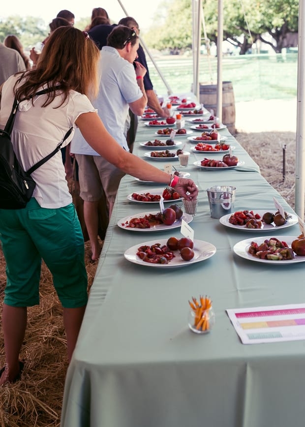 A line of people at the Tomato Tasting tables - trying pieces of tomatoes with toothpicks / Fire Roasted Tomato Jam Crostini