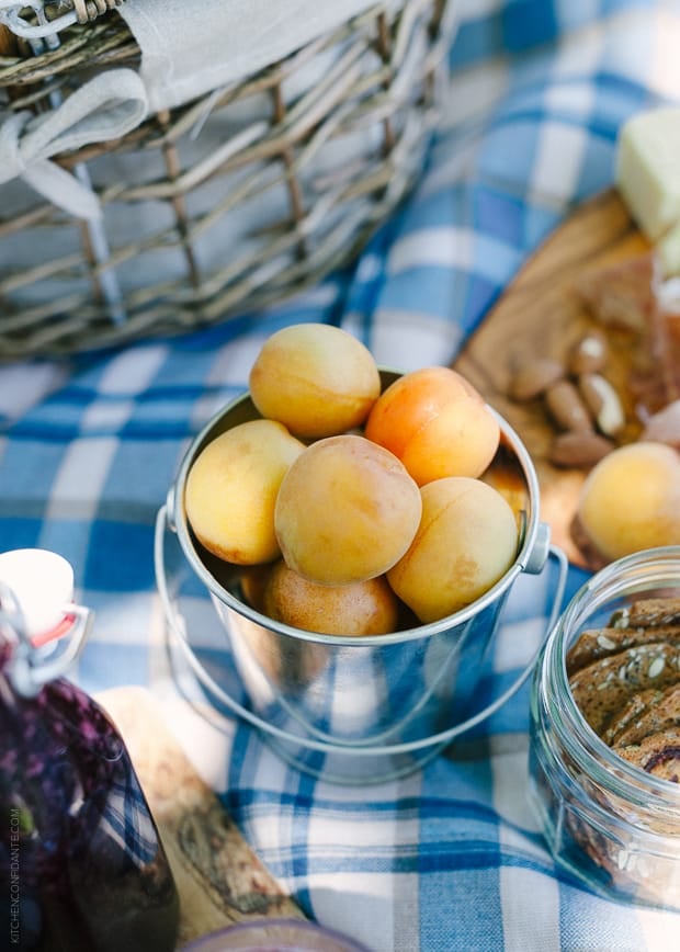 Apricots in a small metal pail on a picnic blanket.
