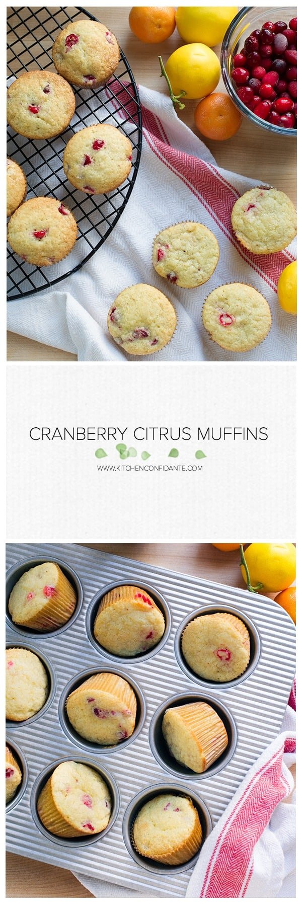 Find some sunshine in the winter with these Cranberry Citrus Muffins! Cranberries add a little zing and a bit of clementine and Meyer lemons add brightness!