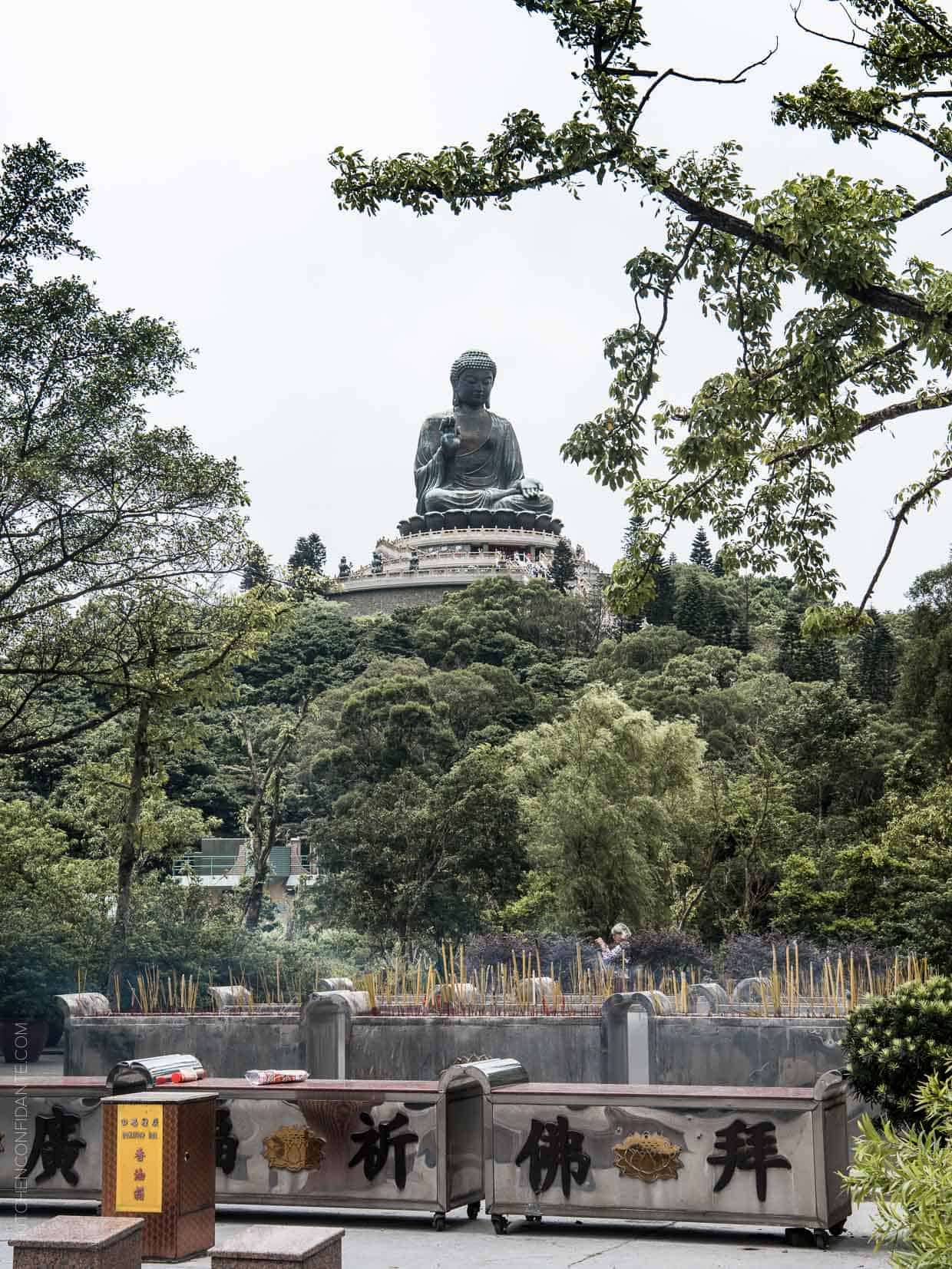 A picture of The Big Buddha taken from the Po Lin Monastery.