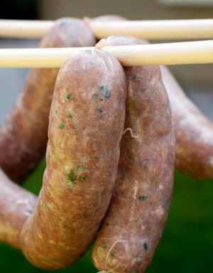 A string of homemade beer bratwurst sausages hanging on a dowel.