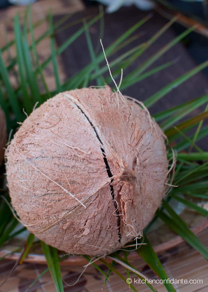 How to Crack a Coconut & Make Coconut Milk Kitchen Confidante®