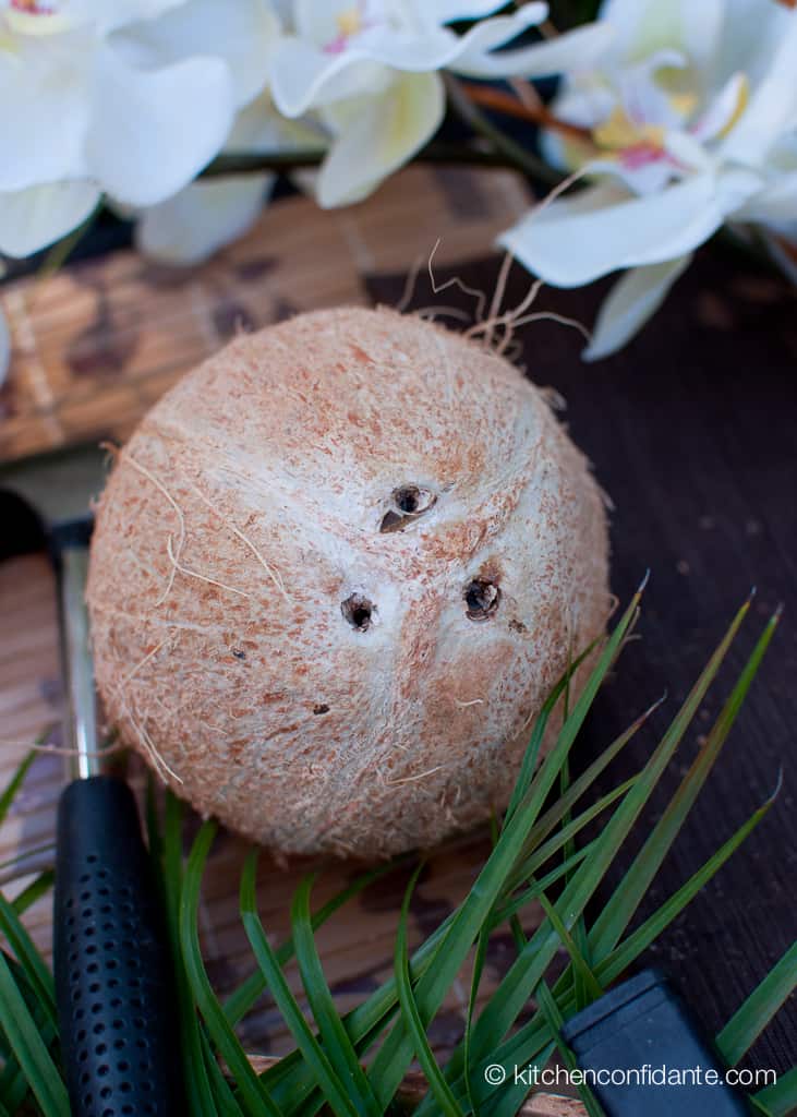 How to Crack a Coconut & Make Coconut Milk Kitchen Confidante®
