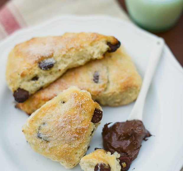 Chocolate Chip Scones with Buttermilk | Kitchen Confidante