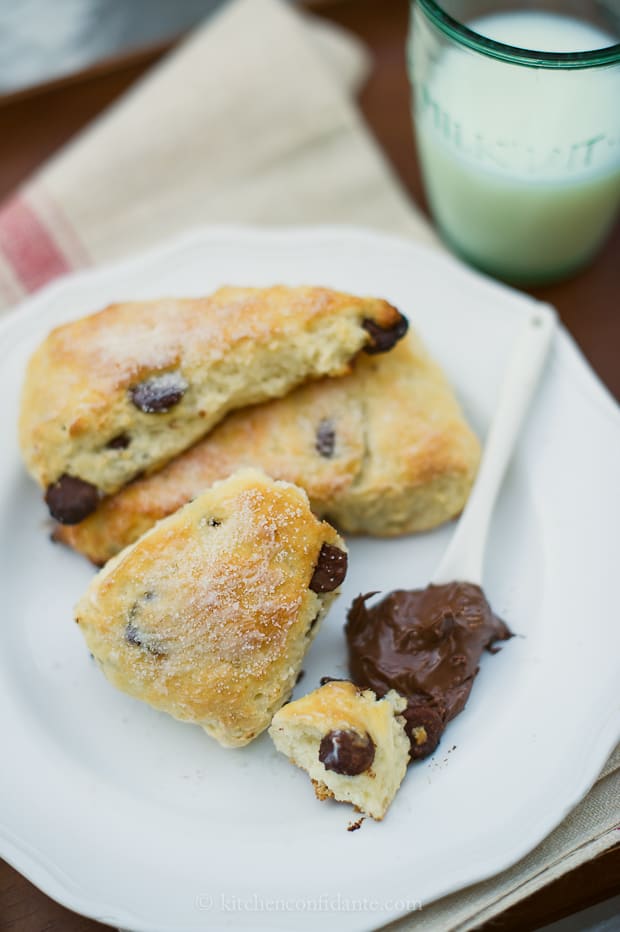 Chocolate Chip Scones with Buttermilk | Kitchen Confidante