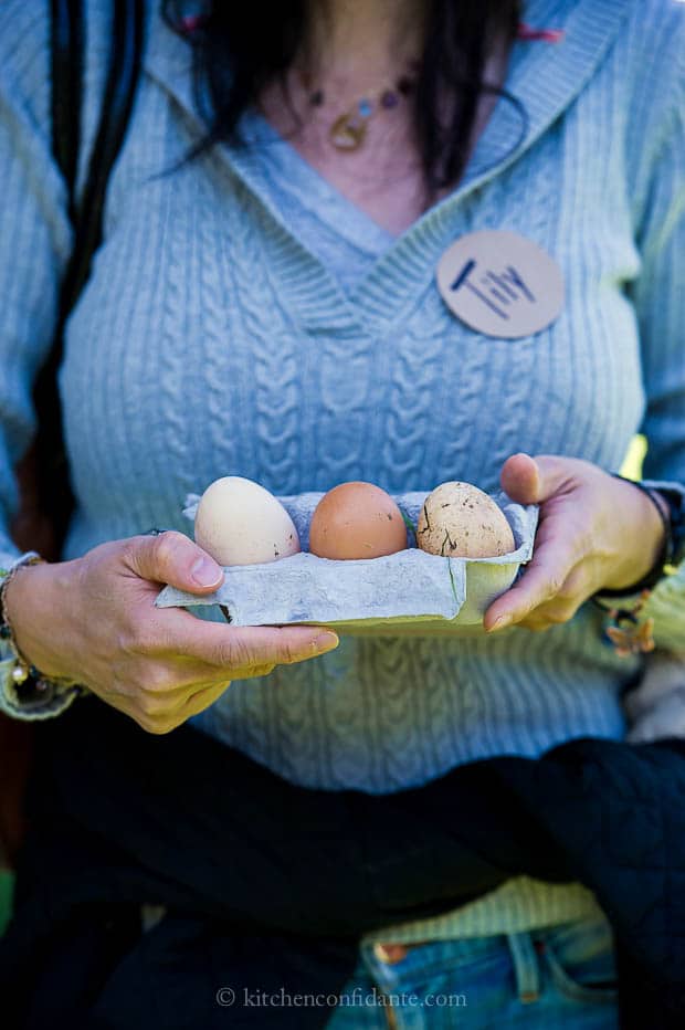 Chicken Eggs - one white, one brown, and one speckled.