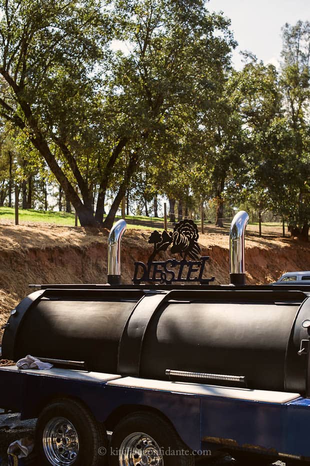 Diestel BBQ Smoker - perfect if they'd wanted to make sticky turkey wings.