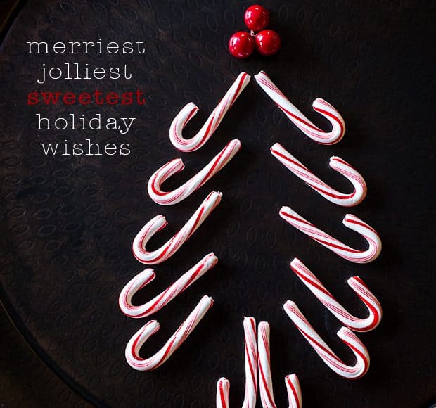 A picture of candy canes arranged to create a christmas tree shape topped by three red berries. Beside it, is text says, "merriest jolliest sweetest holiday wishes".