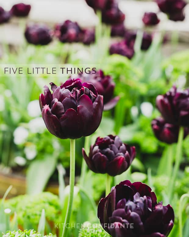 Five Little Things | Kitchen Confidante | Purple Tulips