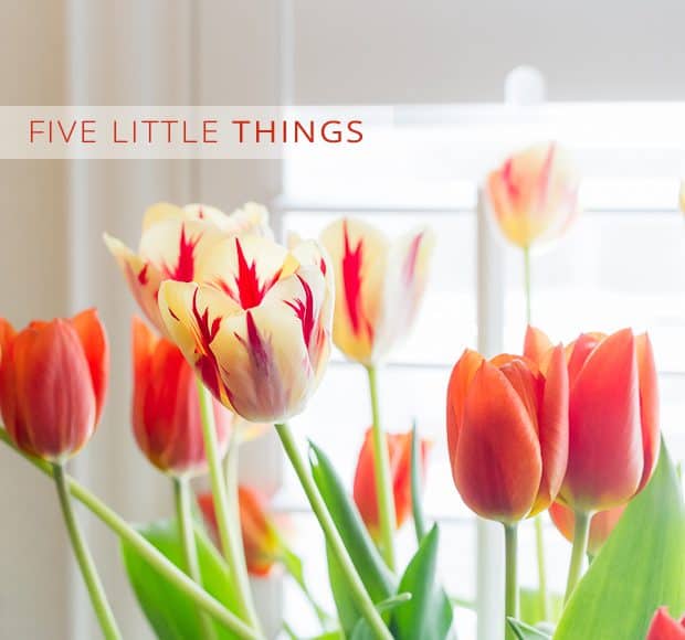Five Little Things | Kitchen Confidante | Tulips