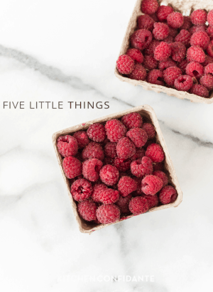 Five Little Things | June-28-2013 | www.kitchenconfidante.com