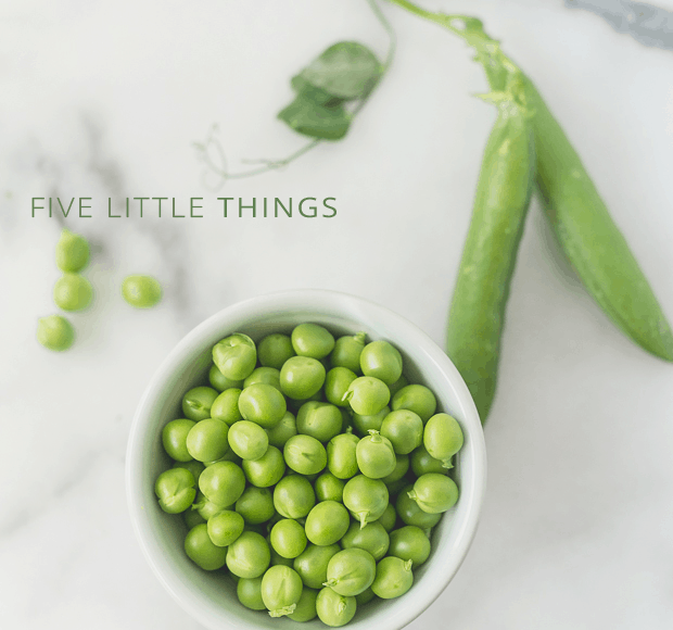 Five Little Things | www.kitchenconfidante.com | July 12, 2013