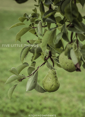 Five Little Things - August 16, 2013 | www.kitchenconfidante.com | Pear Tree