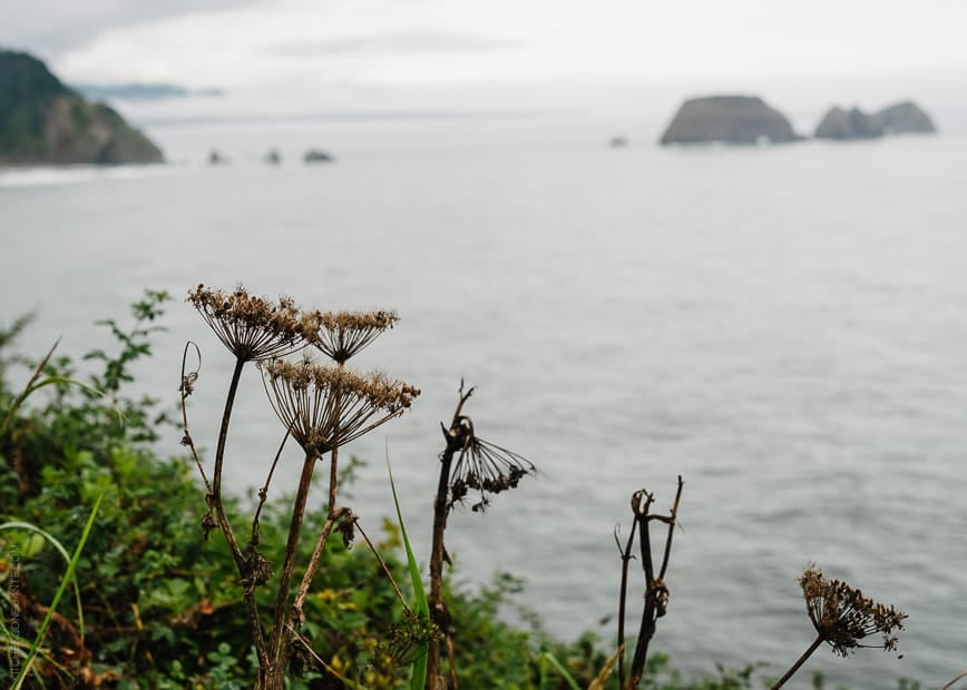 Coastal View while visiting Tillamook.