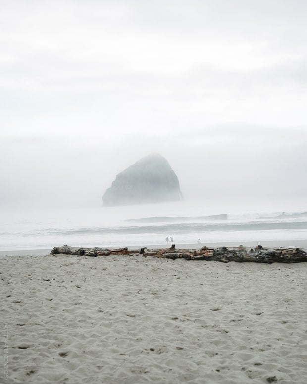 Tillamook #Blog2Farm | www.kitchenconfidante.com | Cape Kiwanda