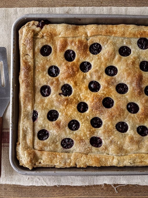A Cranberry Sauce Slab Pie baked in a large baking sheet and decorated with a cut-out crust.
