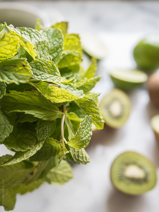 A close up view of sprigs of mint, used to make Kiwi Lime Mojitos.