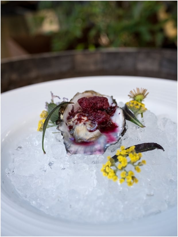 Blueberry dishes prepared by chefs at the Blueberry Culinary Bootcamp.