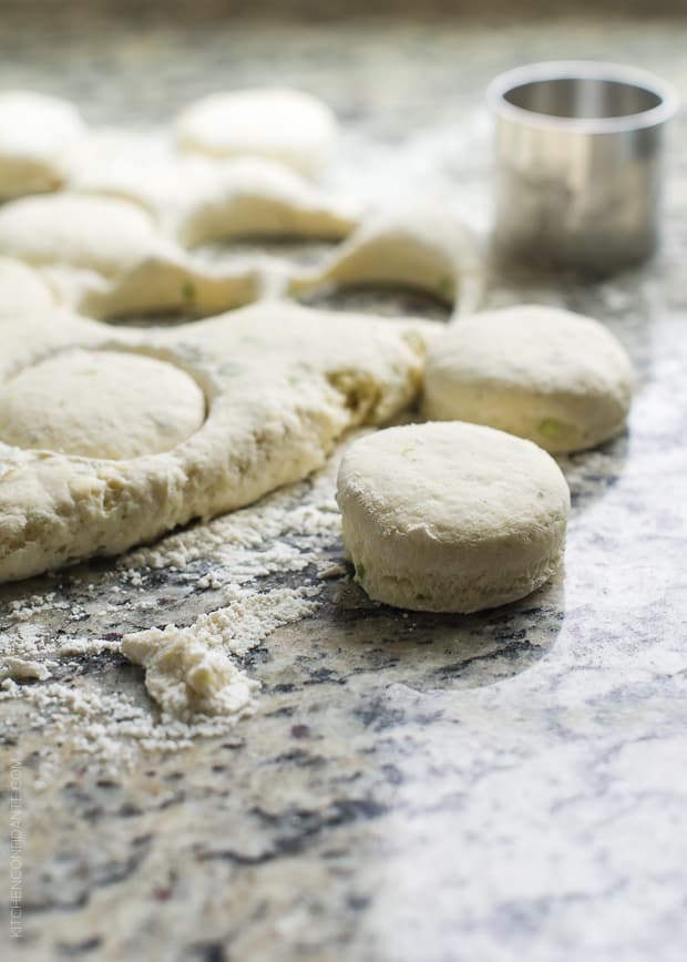 Biscuit dough cut out on a granite surface.