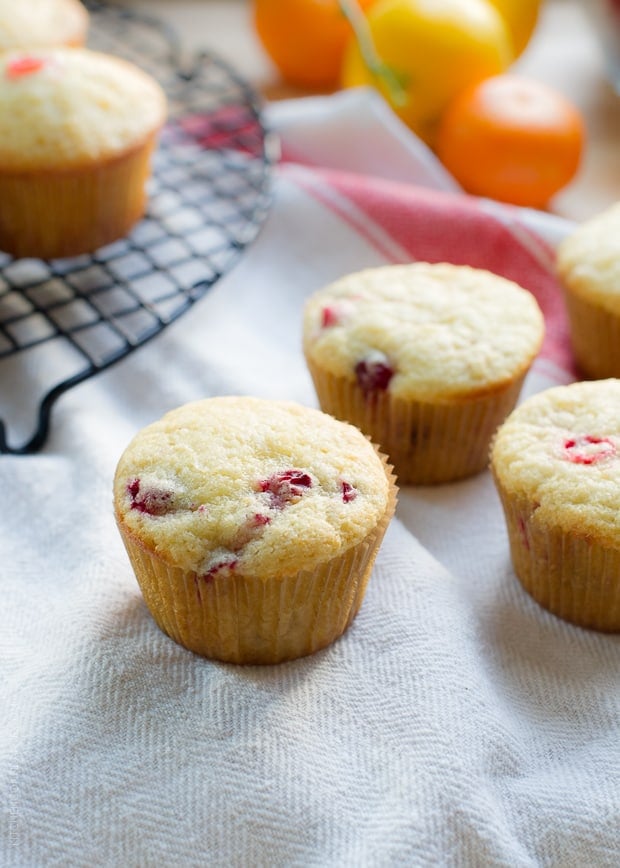 A close up view of Cranberry Citrus Muffins.