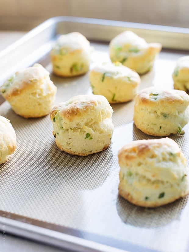 Cream Cheese and Green Onion Biscuits on a baking sheet fresh from the oven.