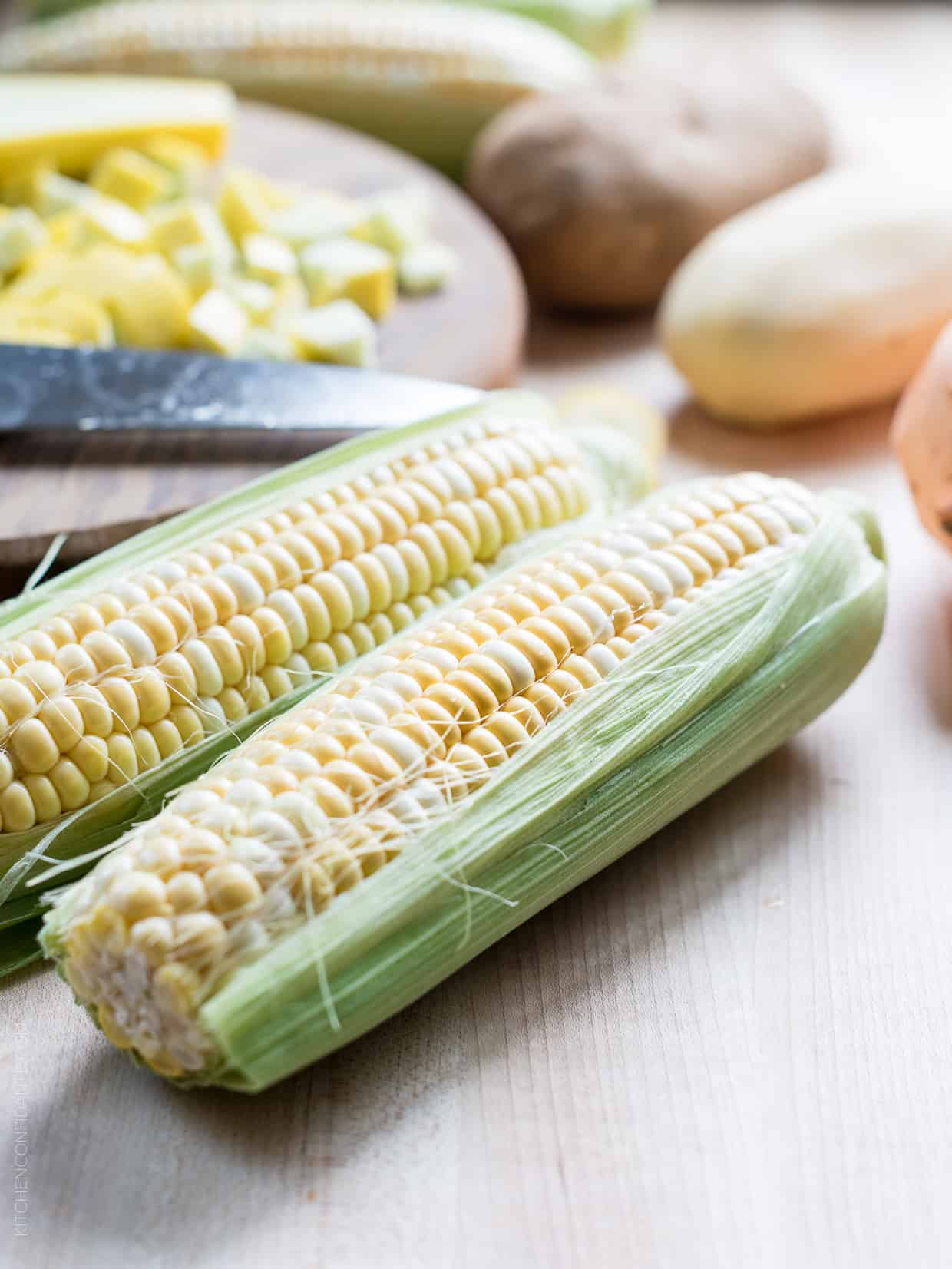 Fresh ears of corn on the cob.