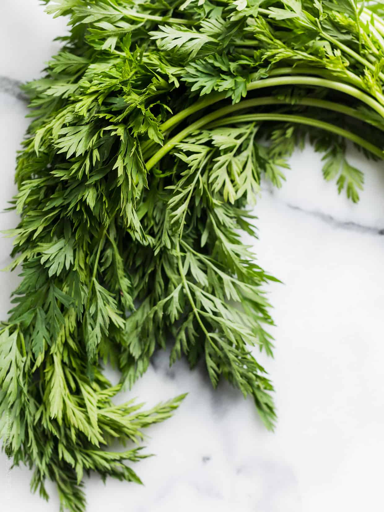 Carrot tops on a marble surface.