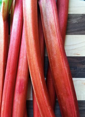 Rhubarb is one of the Five Little Things I loved the week of April 15, 2016.