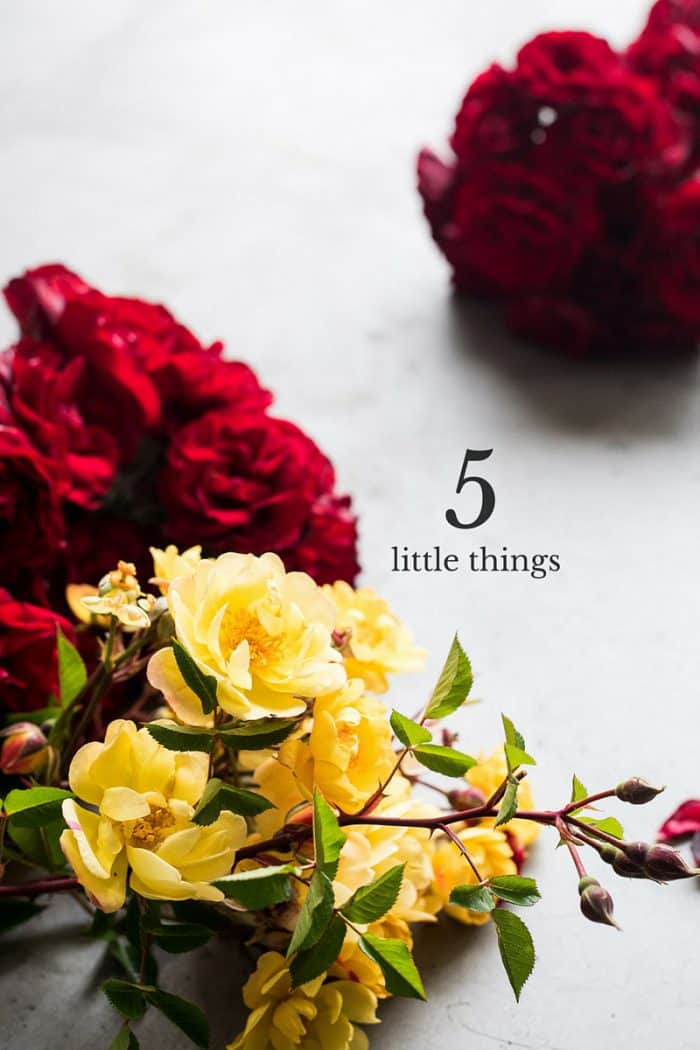Red and yellow flowers with overlay text reading "Five Little Things"
