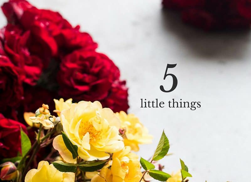 Red and yellow flowers with overlay text reading "Five Little Things"