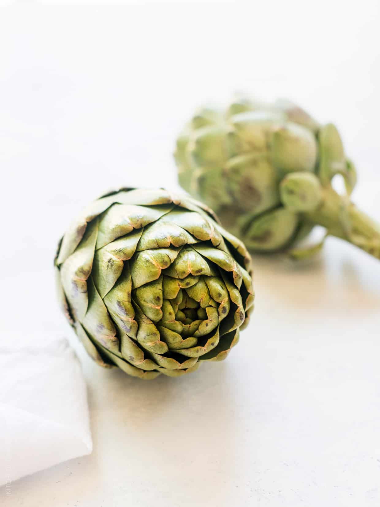 A close up view of a fresh artichoke.