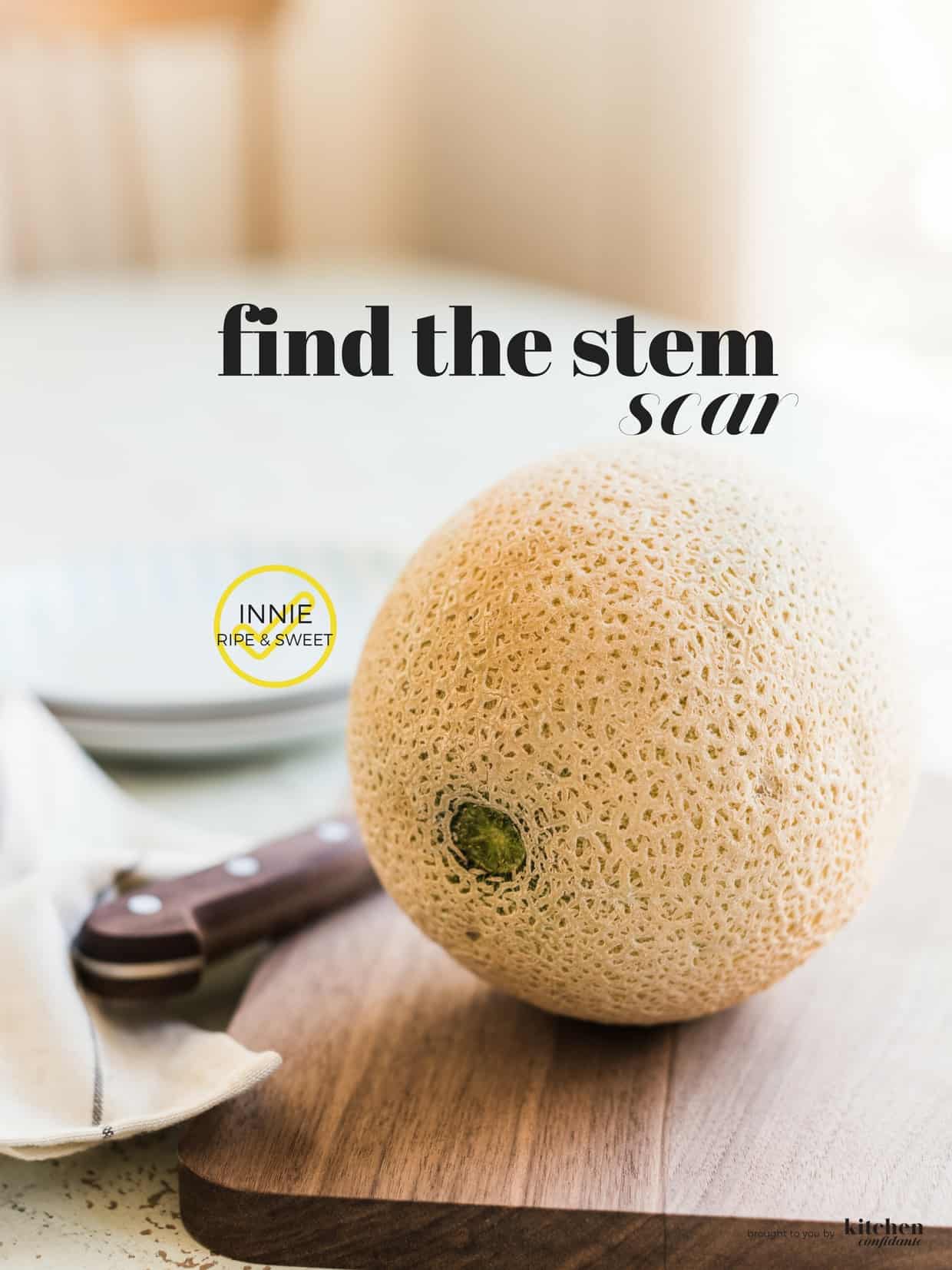 Ripe cantaloupe on a wooden cutting board. Text reads: "Find the Stem Scar", then "Innie = ripe & sweet". The image of the cateloupe has a depressed stem scar which indicates that it is ripe.