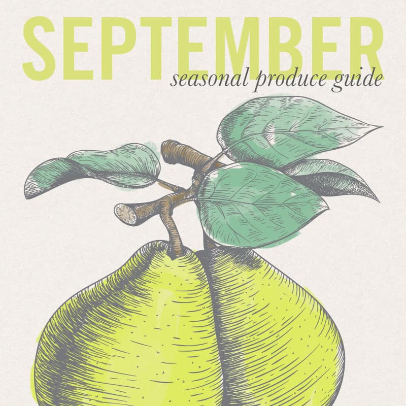 Eat Seasonal - September Produce Guide