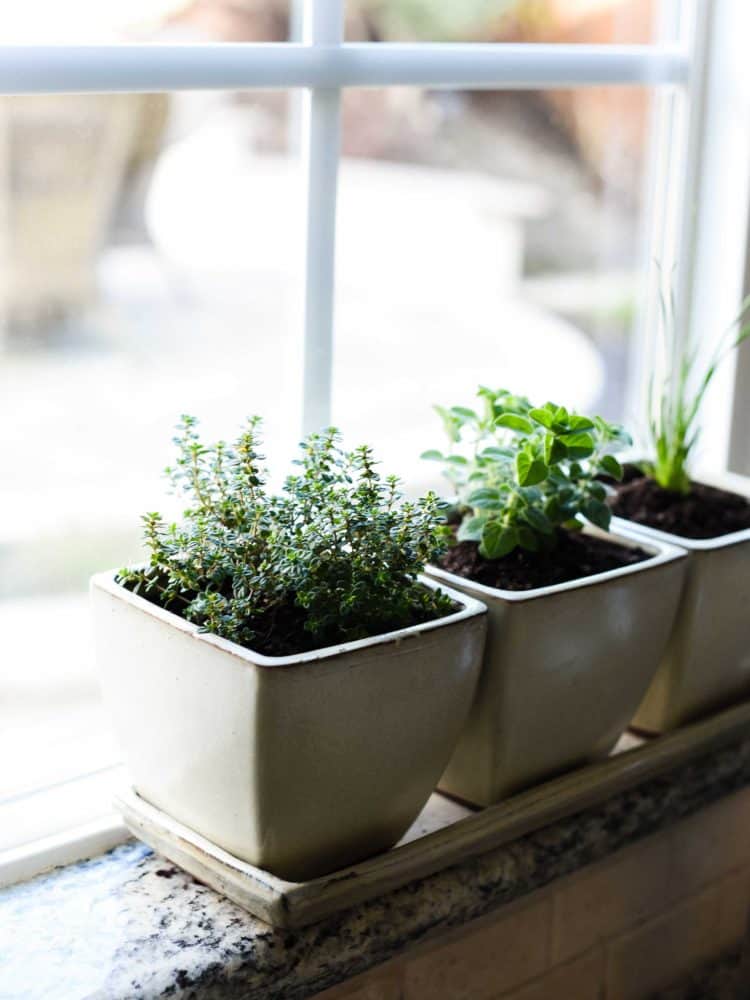 indoor herb garden