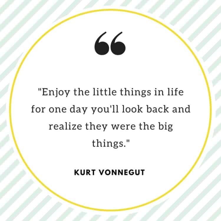 A quote from Kurt Vonnegut.