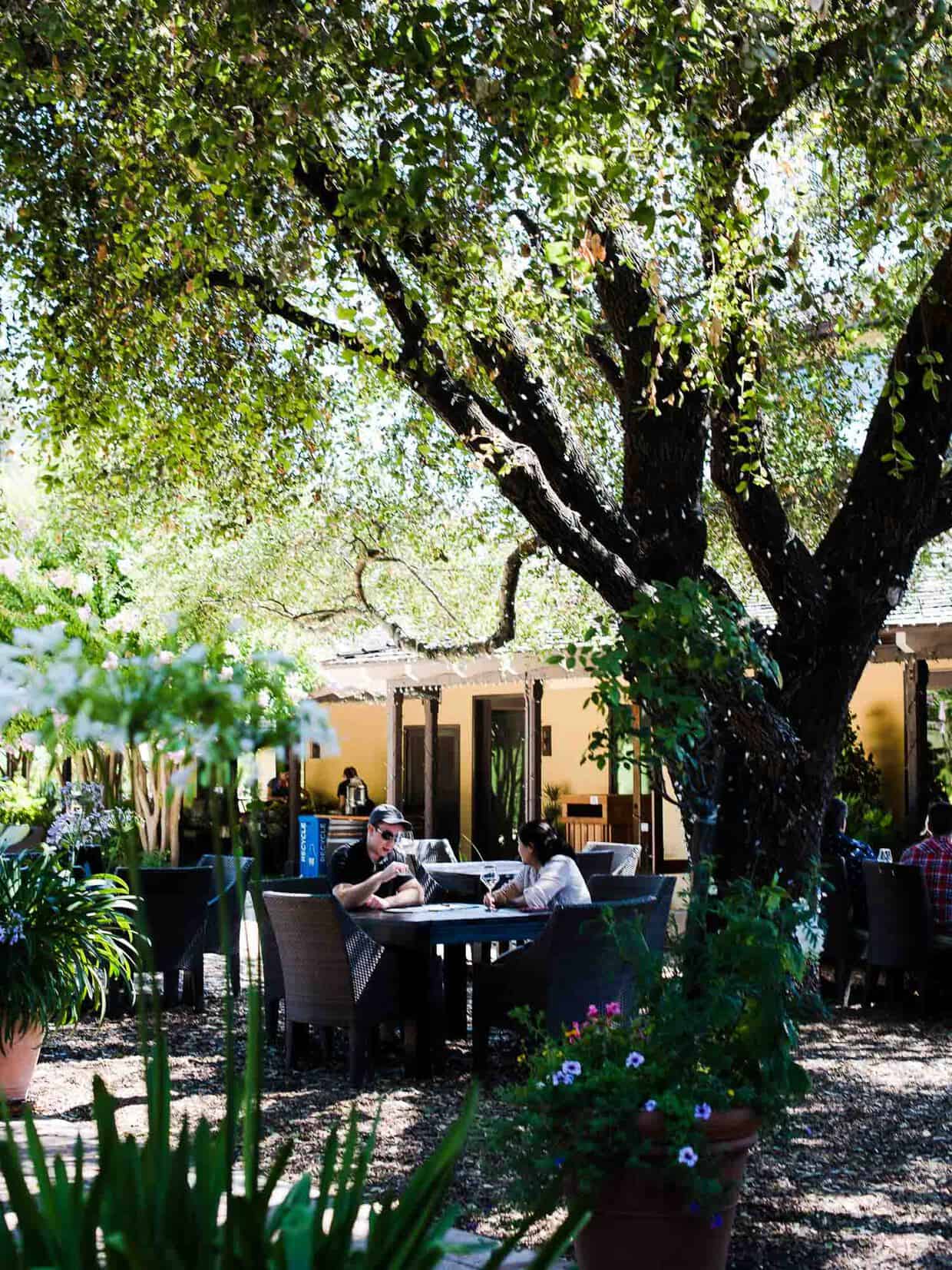 Two people sitting an an outdoor table shaded under a large tree.