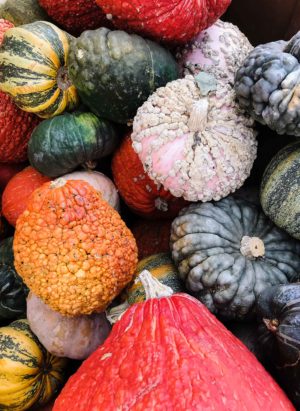 Colorful gourds and squash.