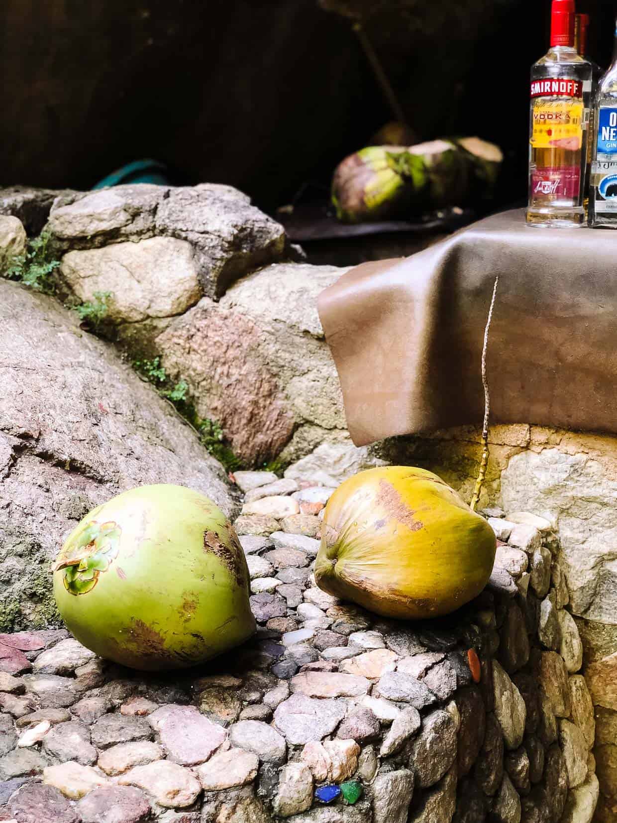 Fresh coconut is one of many tastes in Mexico with Princess Cruises.